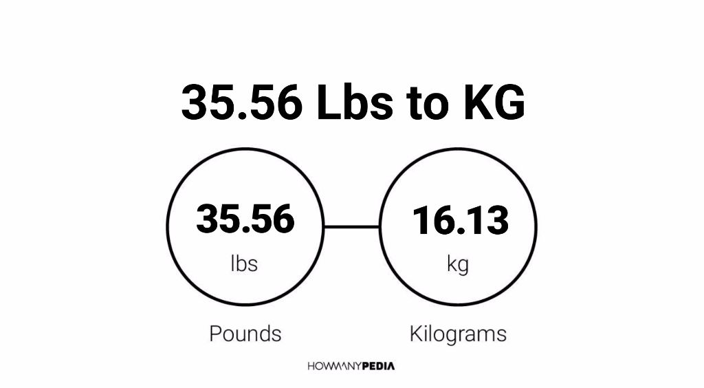 56 Kg In Pounds / 54 kg to lb How much is 54 kilograms