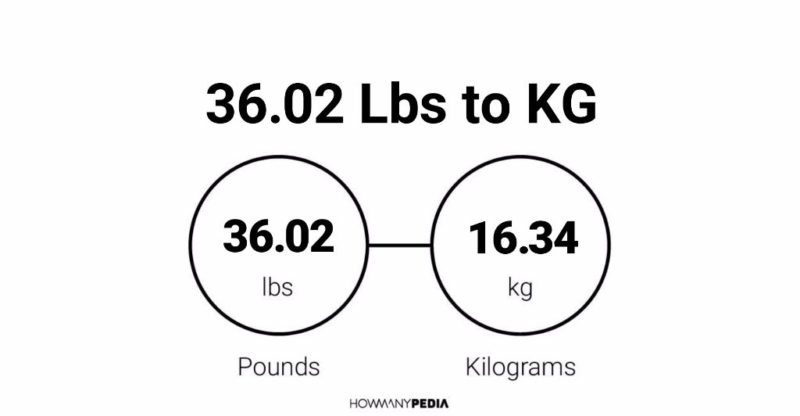 36.02 Lbs to KG