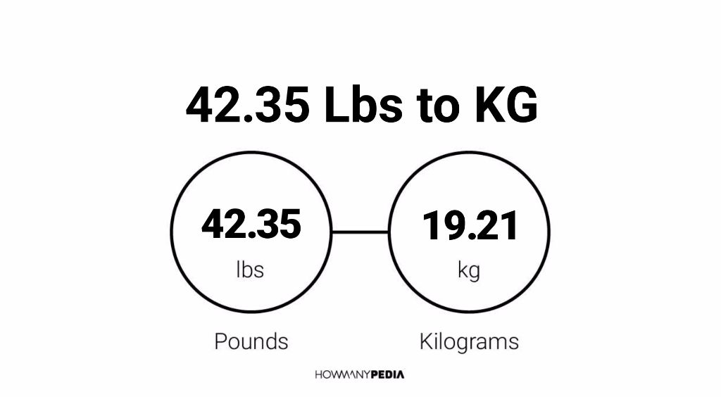 42-35-lbs-to-kg-howmanypedia