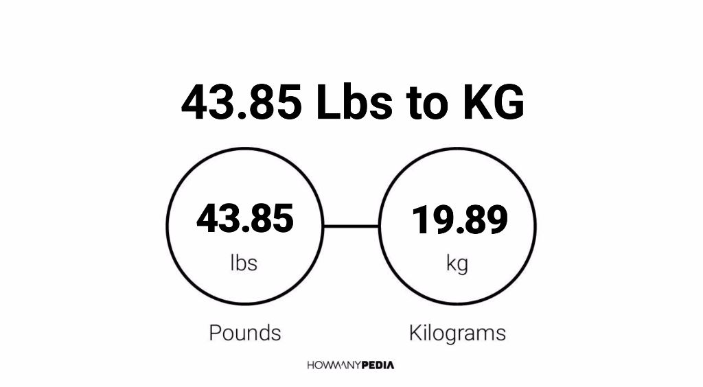 43-85-lbs-to-kg-howmanypedia