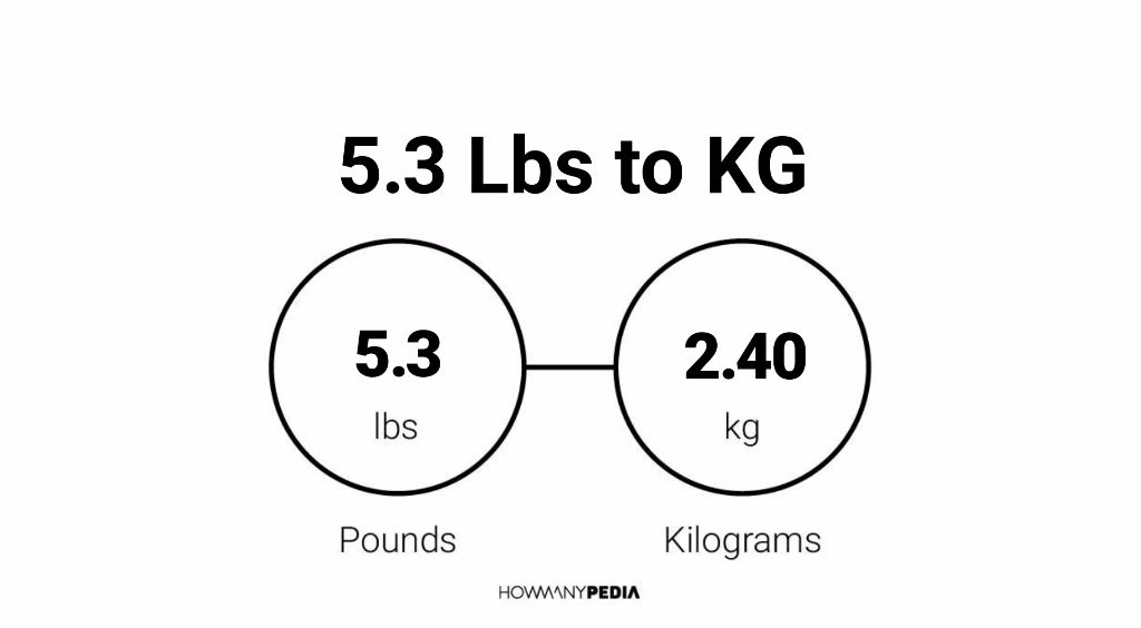 5.3 pounds in on sale kg