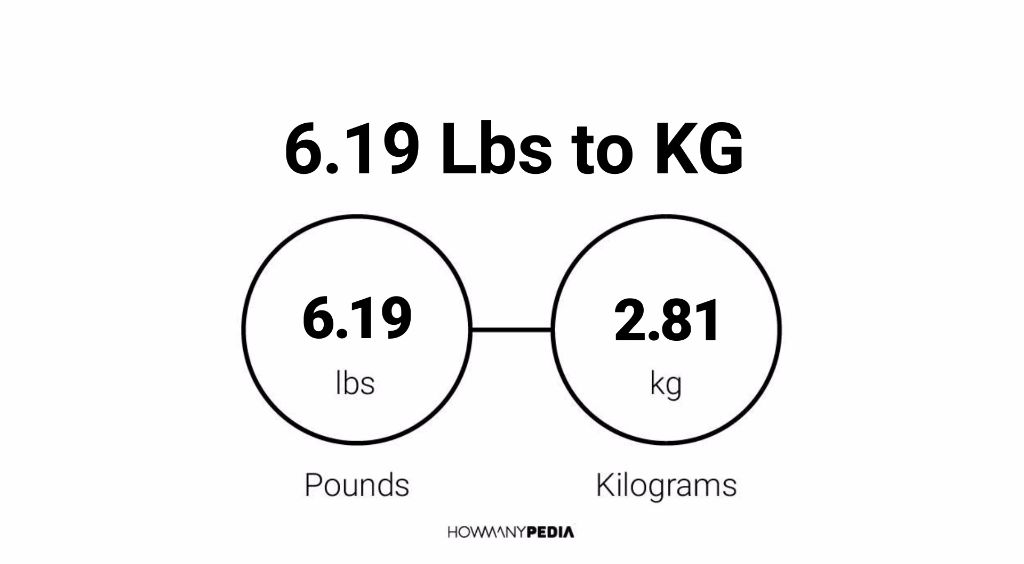 19 pounds shop in kgs