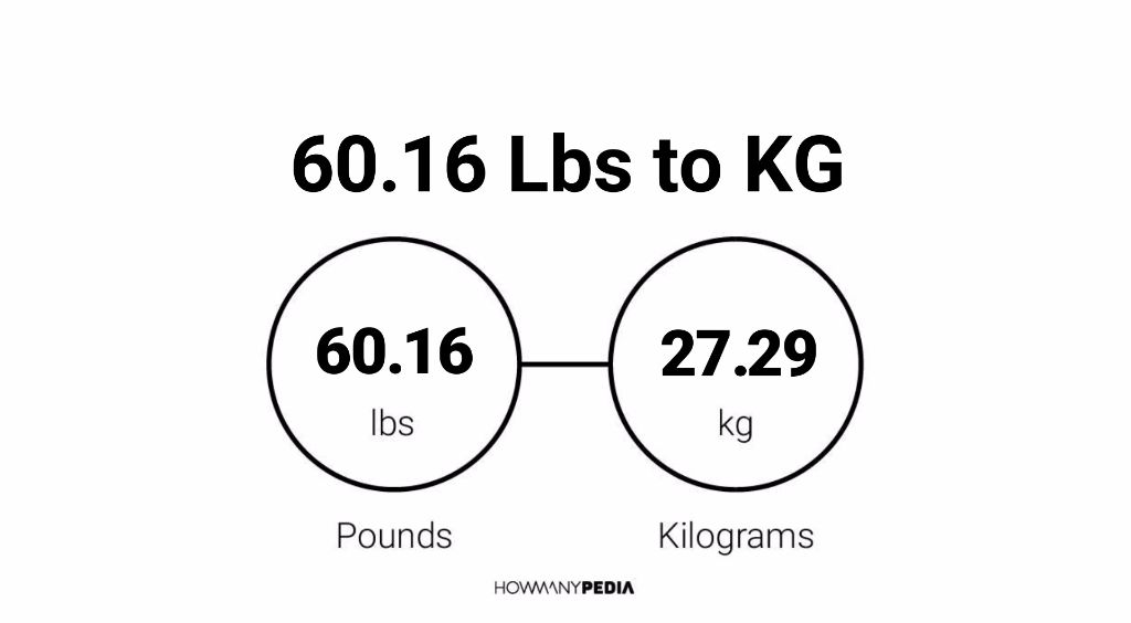 How Many Pounds Is 16 Kg - Usefull Information