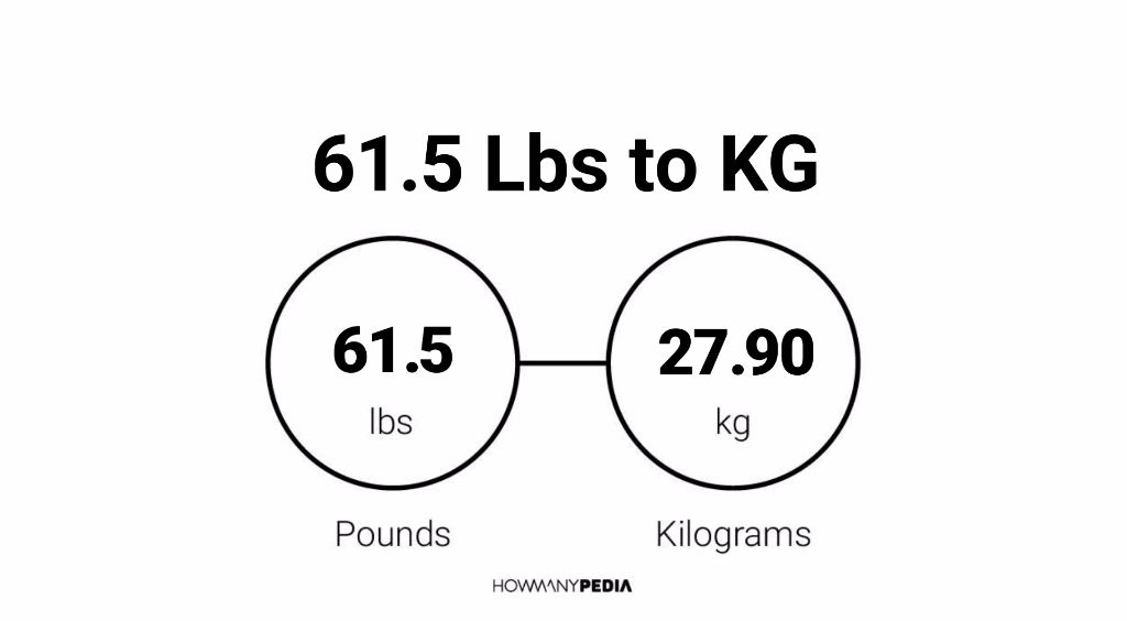 61-5-lbs-to-kg-howmanypedia