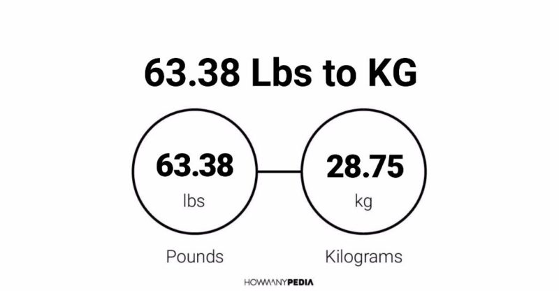 63.38 Lbs to KG