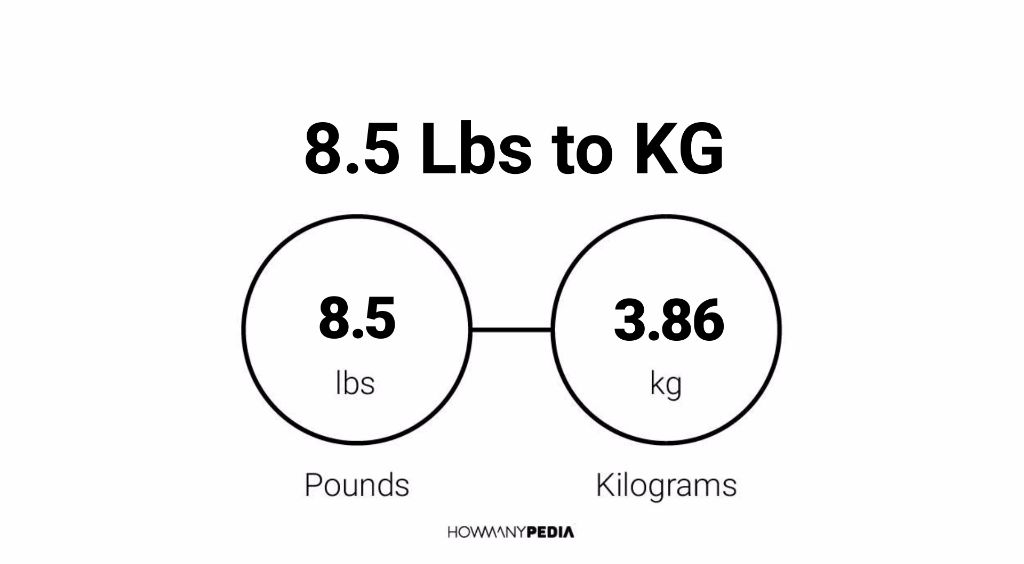 8.5 lbs sale in kg