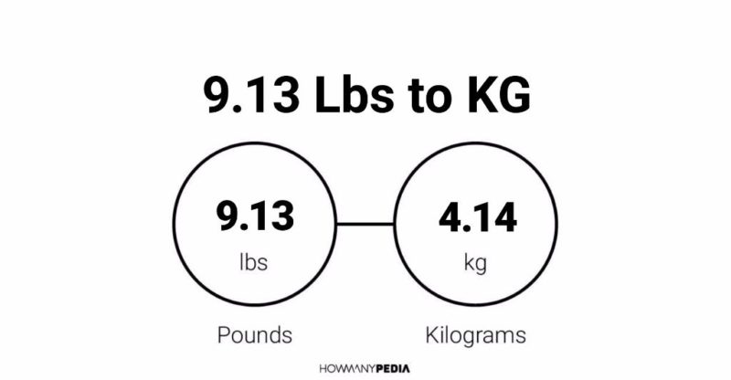 9.13 Lbs to KG