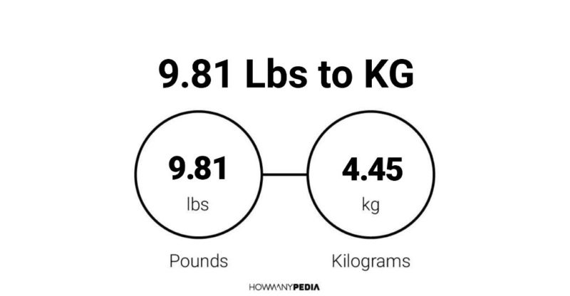 9 pounds shop in kg