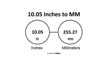 10.05 Inches to MM