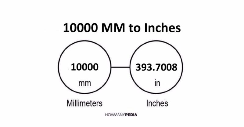 10000 MM to Inches