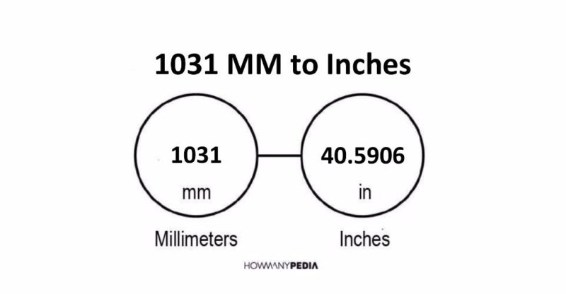 1031 MM to Inches