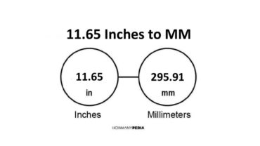 11.65 Inches to MM