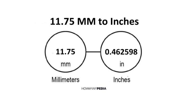 11.75 MM to Inches