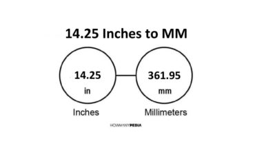 14.25 Inches to MM