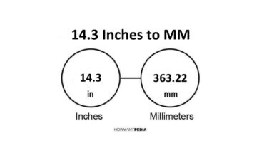 14.3 Inches to MM