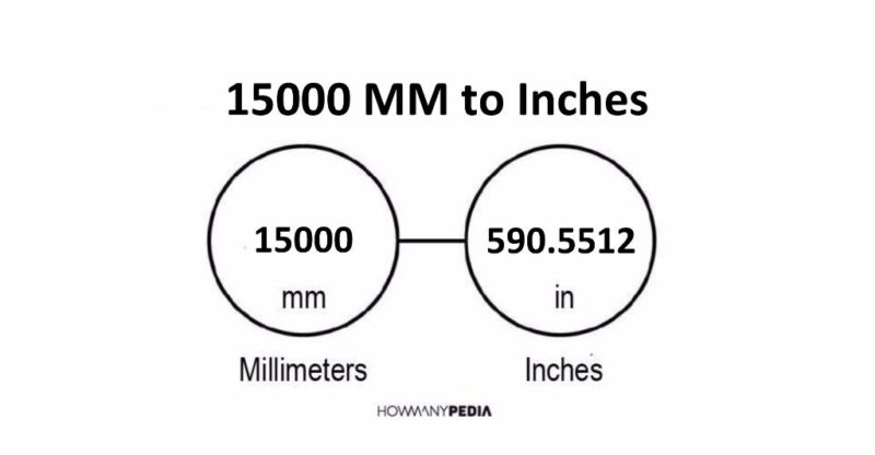 15000 MM to Inches