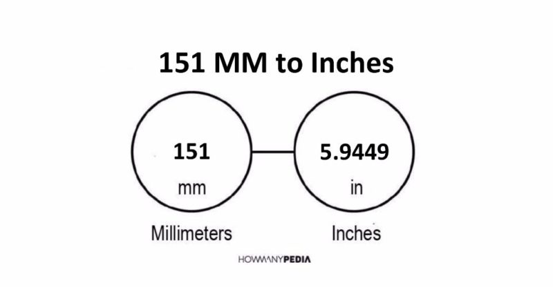 151 MM to Inches