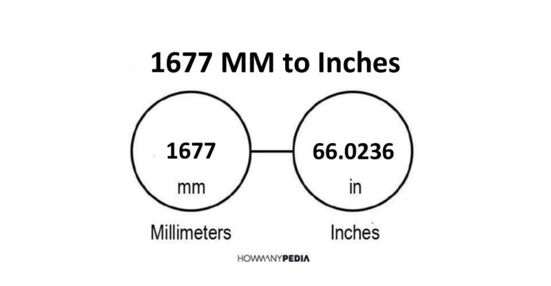 1677 MM to Inches