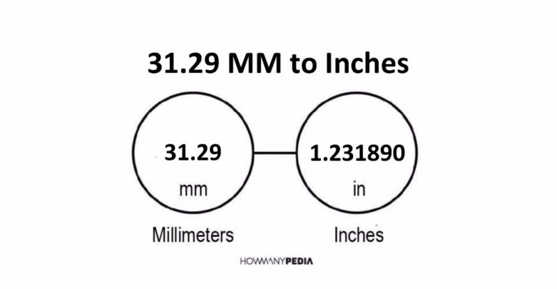 31.29 MM to Inches