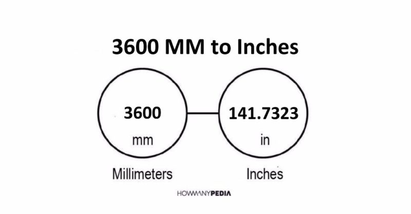 3600 MM to Inches