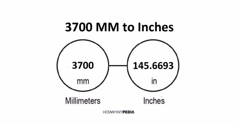 3700 MM to Inches
