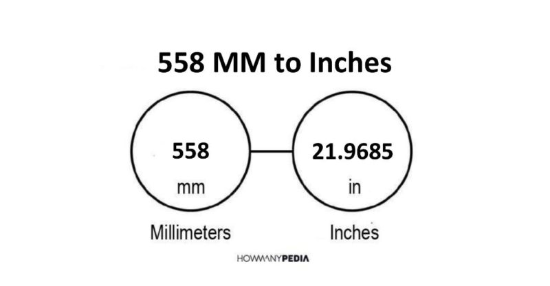 558 MM to Inches