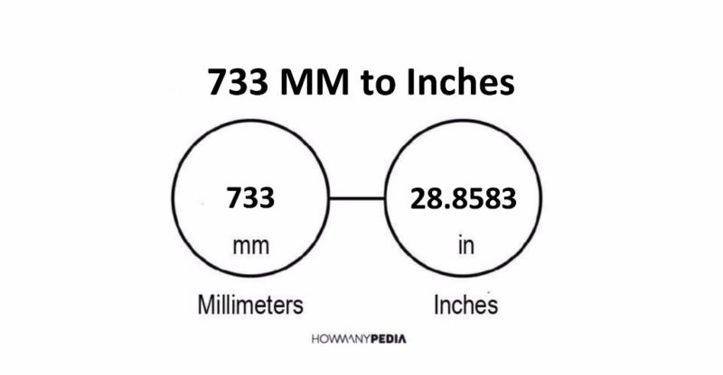 733 MM to Inches