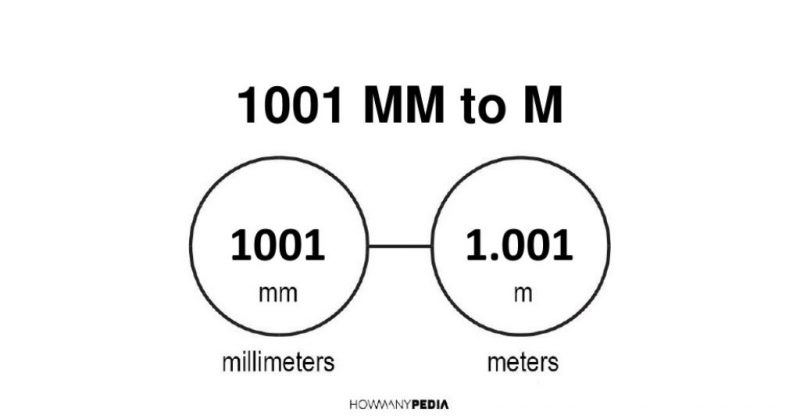 1001 mm to m