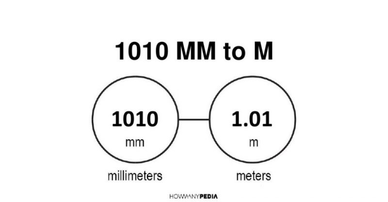 1010 mm to m