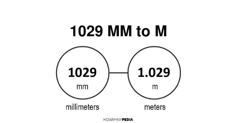 1029 mm to m