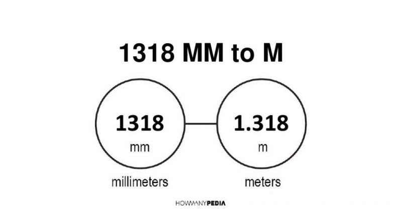 1318 mm to m