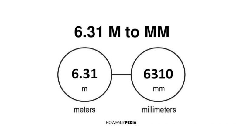 6.31 m to mm