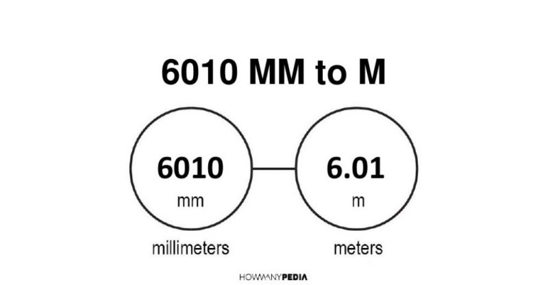 6010 mm to m