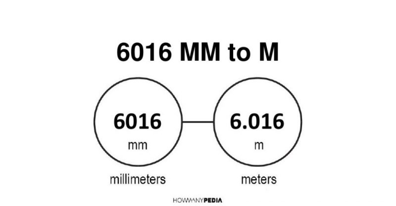 6016 mm to m