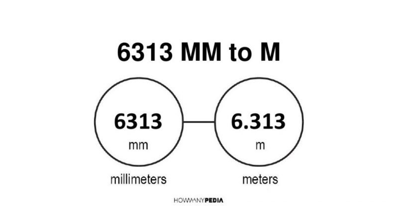 6313 mm to m