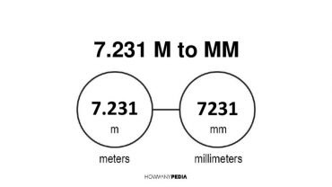 7.231 m to mm