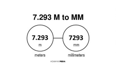 7.293 m to mm