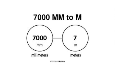 7000 mm to m