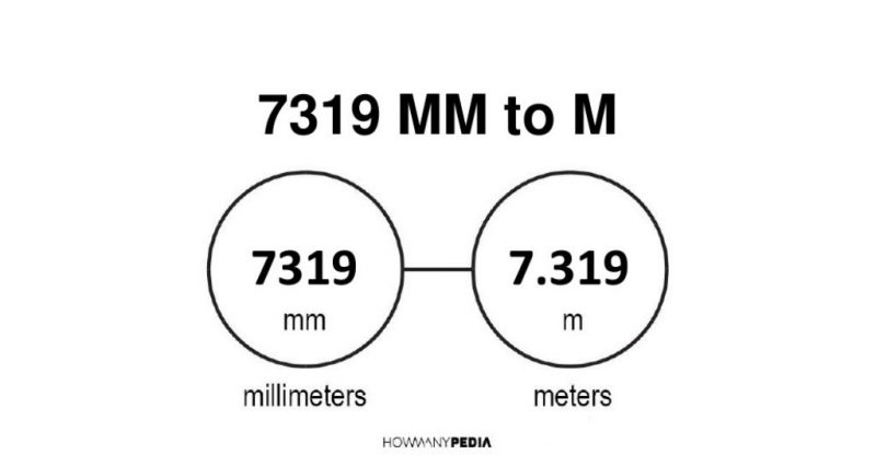 7319 mm to m